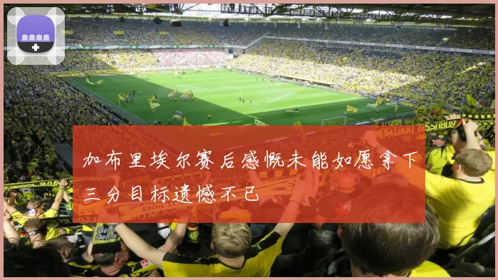 加布里埃尔赛后感慨未能如愿拿下三分目标遗憾不已